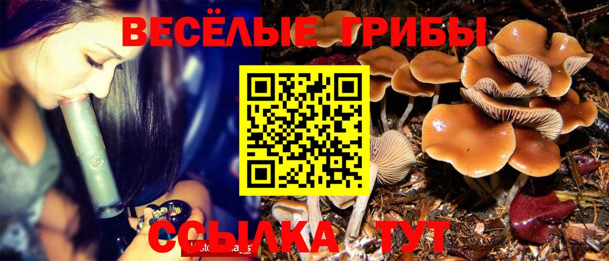 A PVP СК кристаллы  Гашиш  Вход с VPN  Меф кристаллы  Обь  Гашиш  МЕФ  MDMA 
